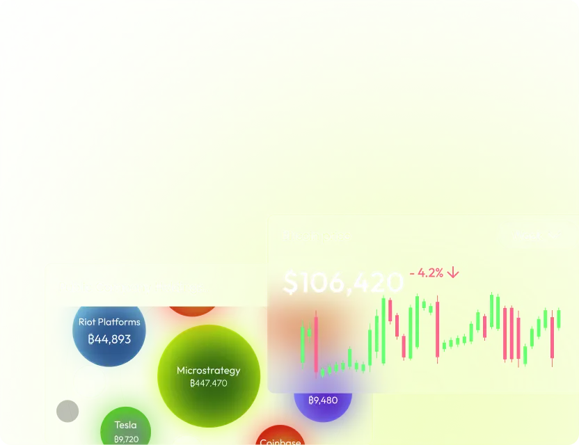 Bitcoin View